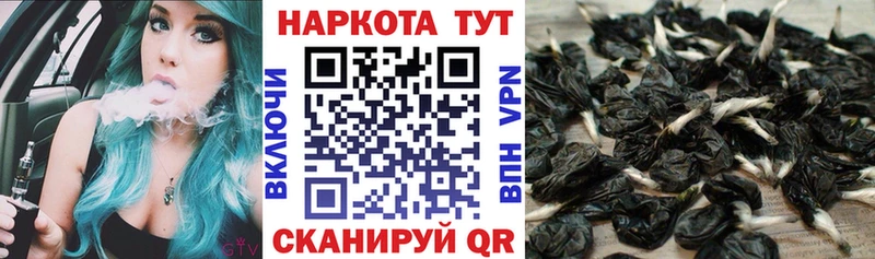 Наркошоп купить Конопля  COCAIN  Меф мяу мяу  Новая Ляля