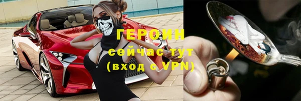 индика Горно-Алтайск