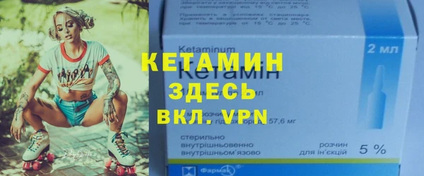 прущие грибы Горняк