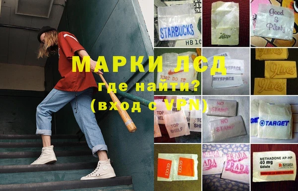 стаф Горнозаводск