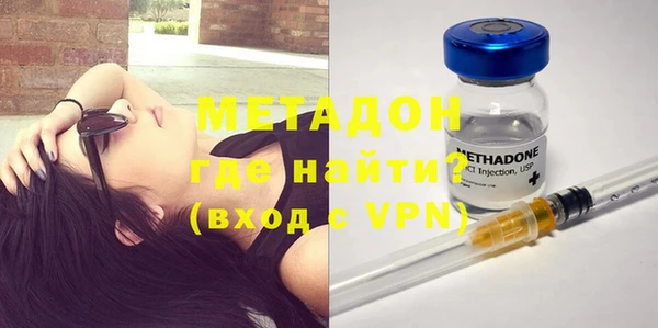 прущие грибы Горняк