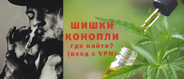 стаф Горнозаводск