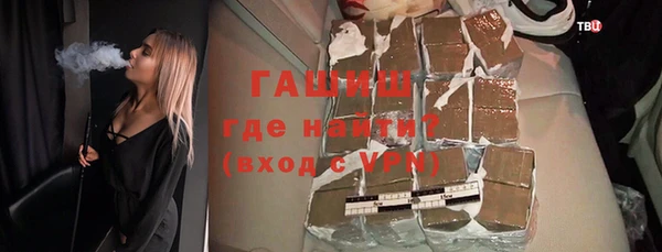 прущие грибы Горняк