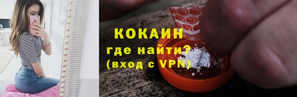 прущие грибы Горняк