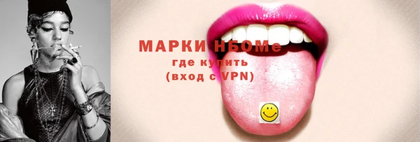 индика Горно-Алтайск