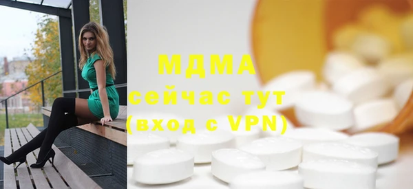 прущие грибы Горняк