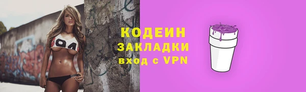 индика Горно-Алтайск