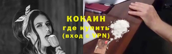 прущие грибы Горняк
