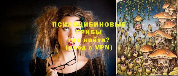 индика Горно-Алтайск