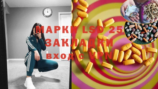 индика Горно-Алтайск