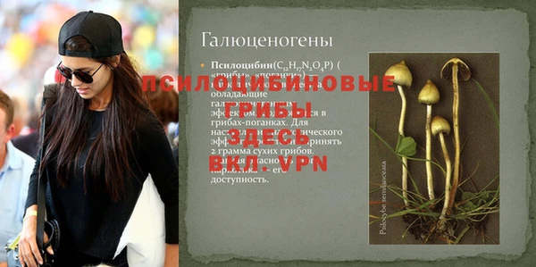 прущие грибы Горняк
