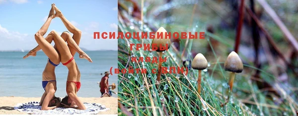 индика Горно-Алтайск