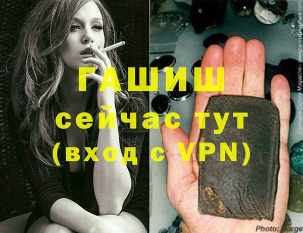 индика Горно-Алтайск